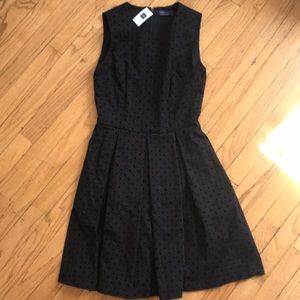 Gap Black dress with velvet polka dots.